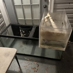 Saltwater Tank 