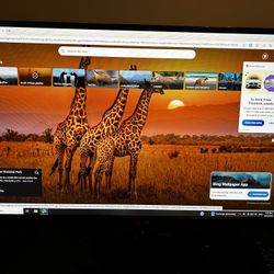 Lg Computer Monitor 28”