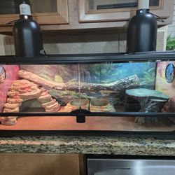 Title
Open Front Desert Reptile
Terrarium Essentials Kit- 20G