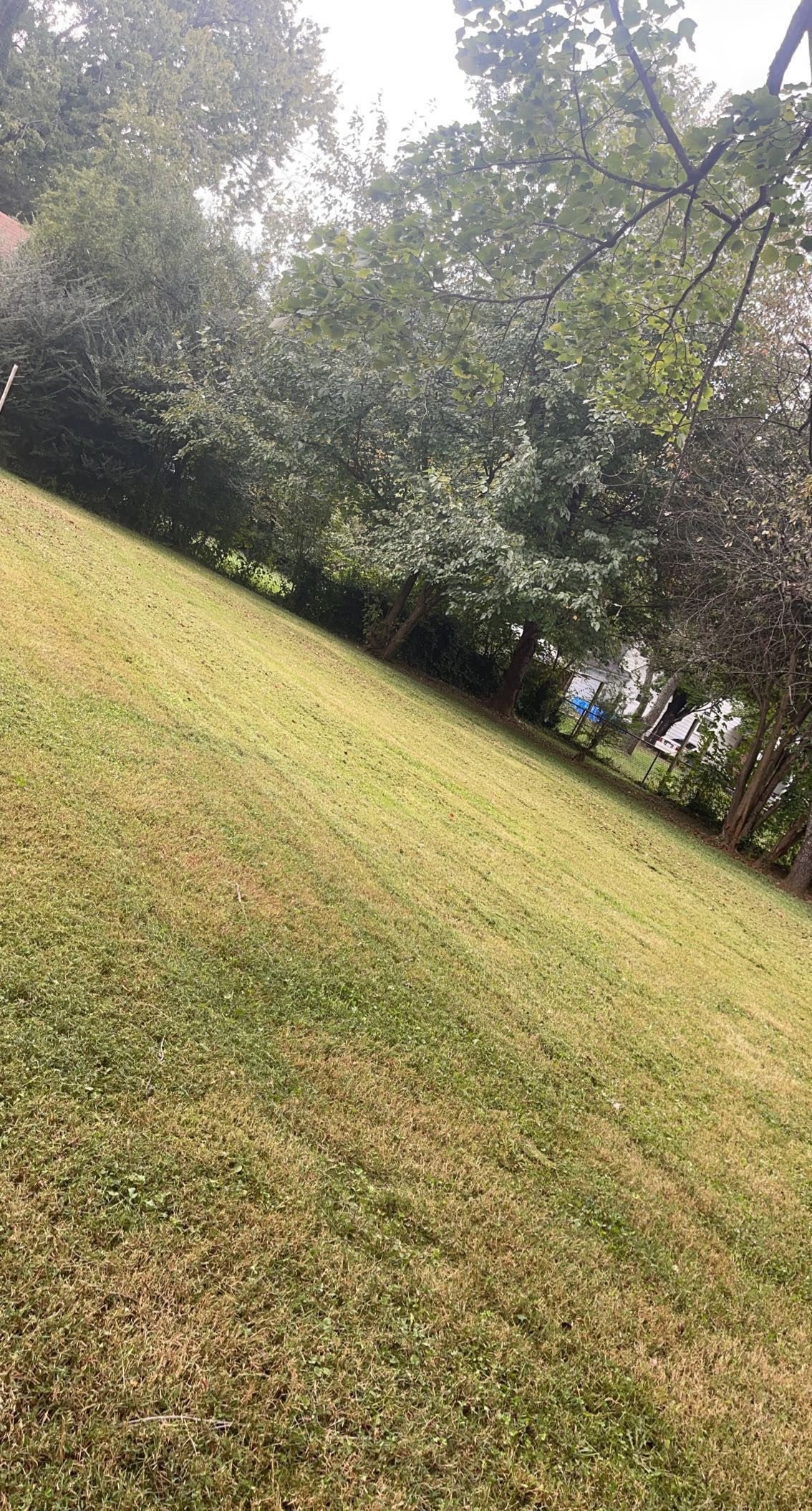 Need Someone To Cut Every 1 Or 2 Week??