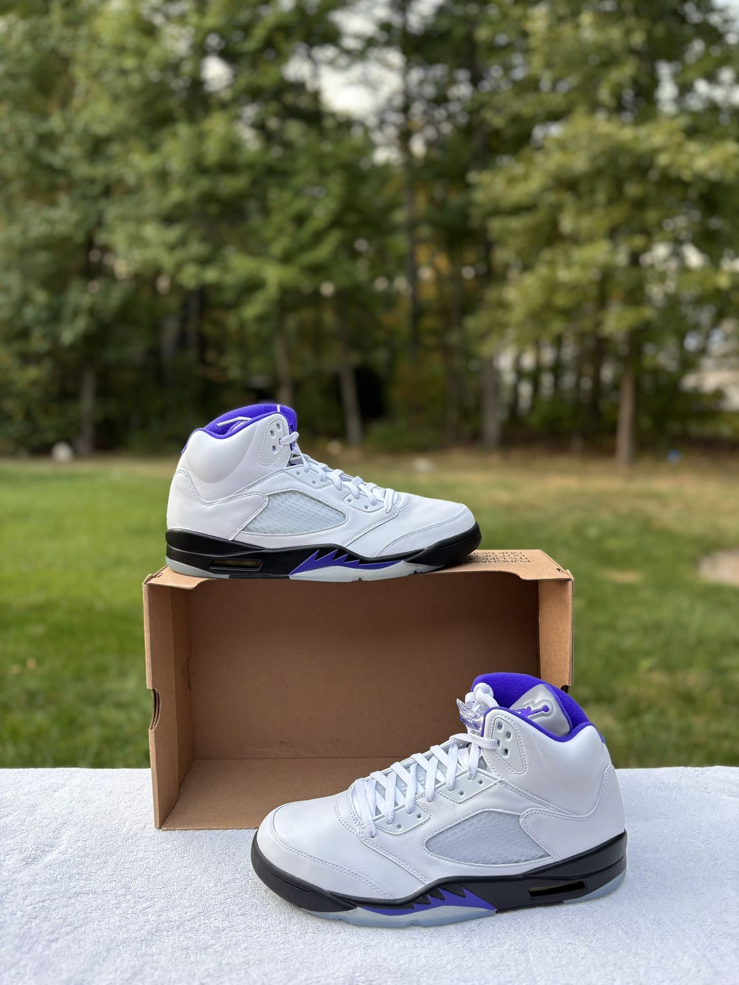 Air Jordan 5 retro concord