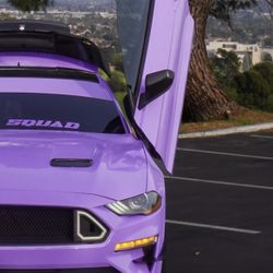 15-23 Mustang vertical Door Hinges 