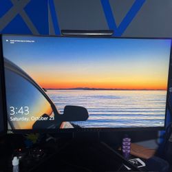 Alienware Monitor 25'