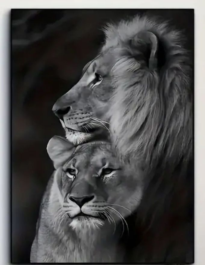 Lion Canvas Poster