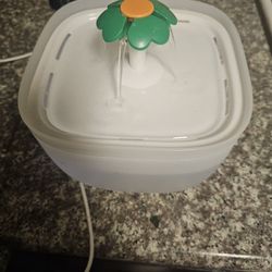 Cat Drinking Fountain 