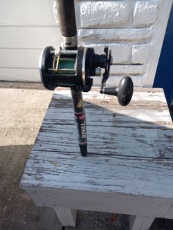 PENN RIVAL rod/reel combo