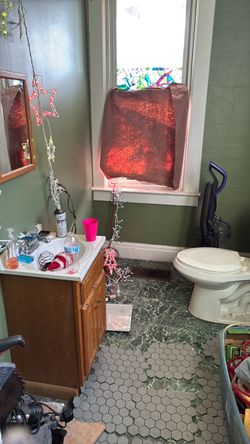 Toilet vanity mirror combination