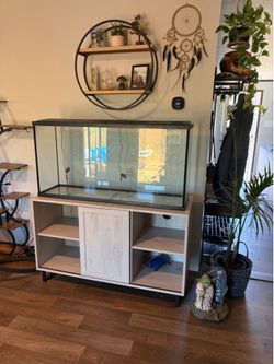 55 gallon fish tank and stand