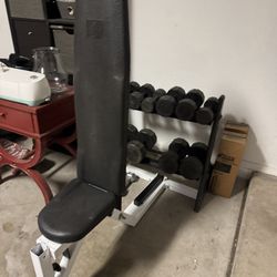 Bench & Dumbbell set 