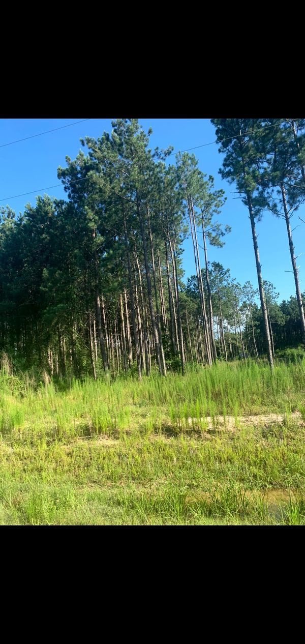 Used shed home for sale 