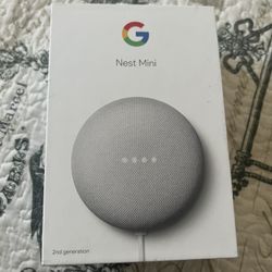 Google Mini