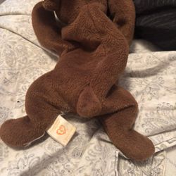 Chocolate The Moose