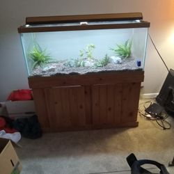 75Gal Fish.Tank with Wooden Stand $125