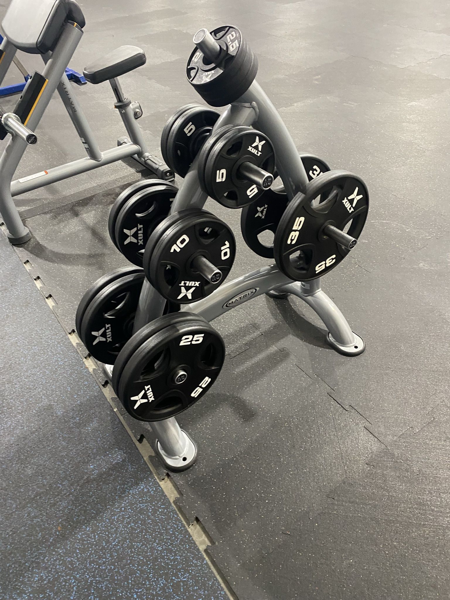 Matrix “Aura” Olympic Weight Tree
