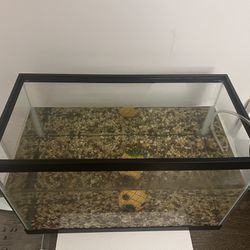 10 Gal Fish Tank