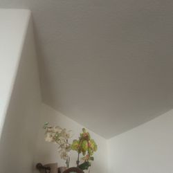 Artificial Plant 
