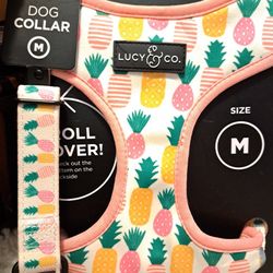 Dog Harness And Collar