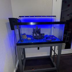 40 Gallon Aquarium With Stand LED Light & Accessories 