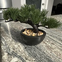 Decorative Bonsai Tree