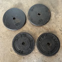 4 25 Lbs Weight Plates 