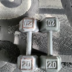 20 lbs Hex dumbbells