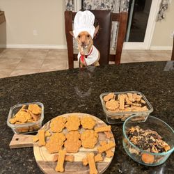 Dog Treats (100% Natural)