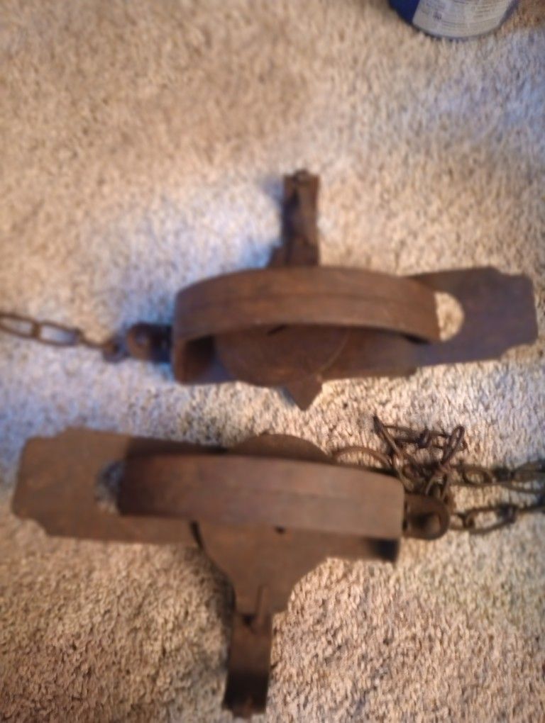 Vintage Animal Traps