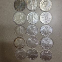 Assorted American Silver Eagles.  $42 Each