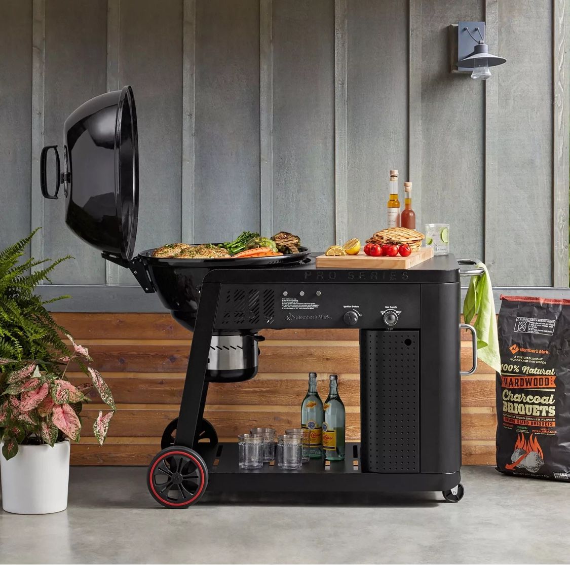 Pad Series Gas Assist Charcoal Grill