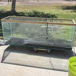 120 Gallon Fish Tank 