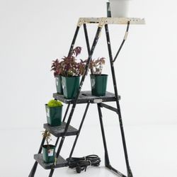 Can Deliver Repurposed 2.5' Step Stool Plant Stand