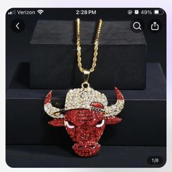 BULLS CHAIN