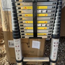 Telescopic Ladder