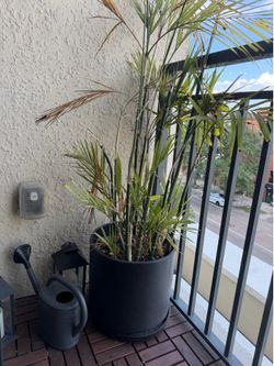 13" Planter W/ Saucer