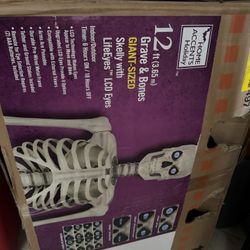 12 Ft Skeletons 
