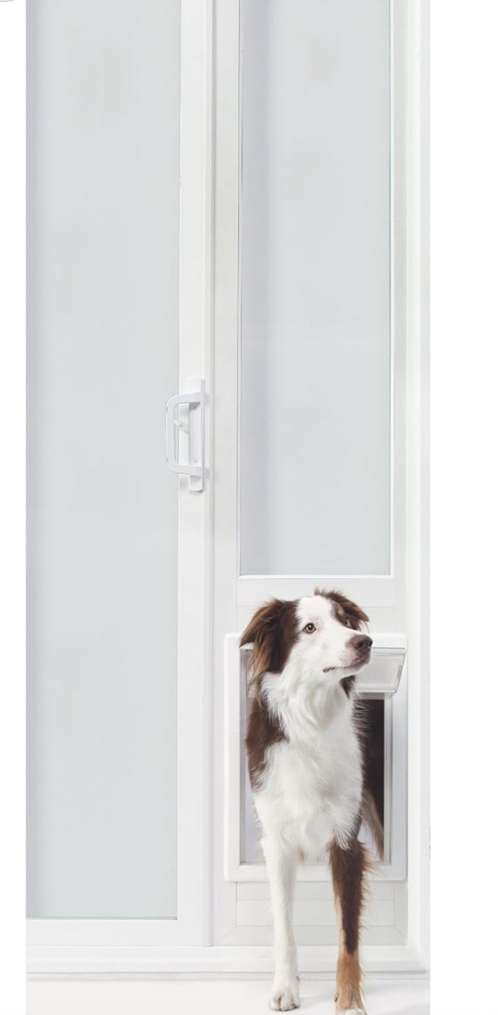 Sliding Patio Pet Door