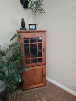 2 Pantry Cabinets Arts and Craft Style