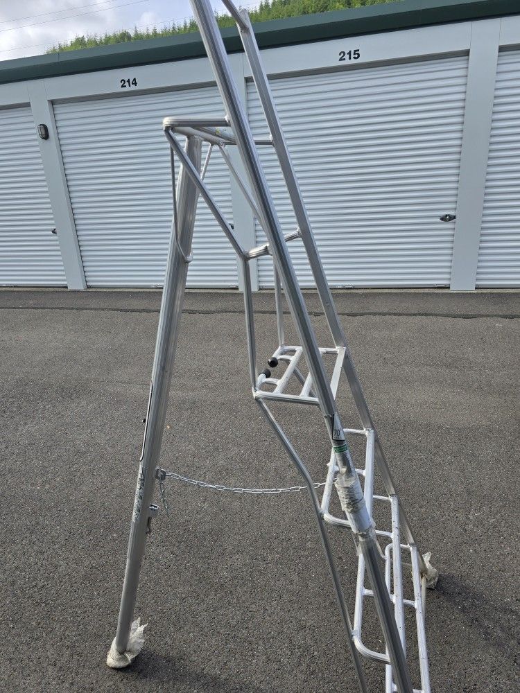 Prunning Ladder