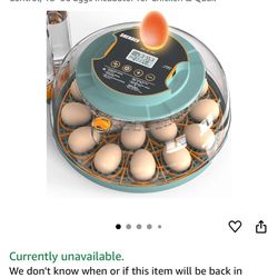 2 Incubators 