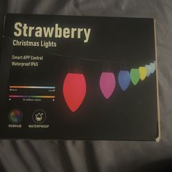 Strawberry Christmas Lights Smart App Control