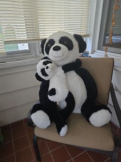 Panda bear