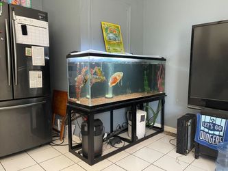 100 Gallon tank and Stand