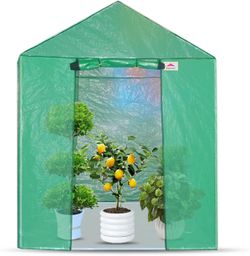 Greenhouse For Outdoor Plants, Walk In Plants Green house  6.6’x 6.6’