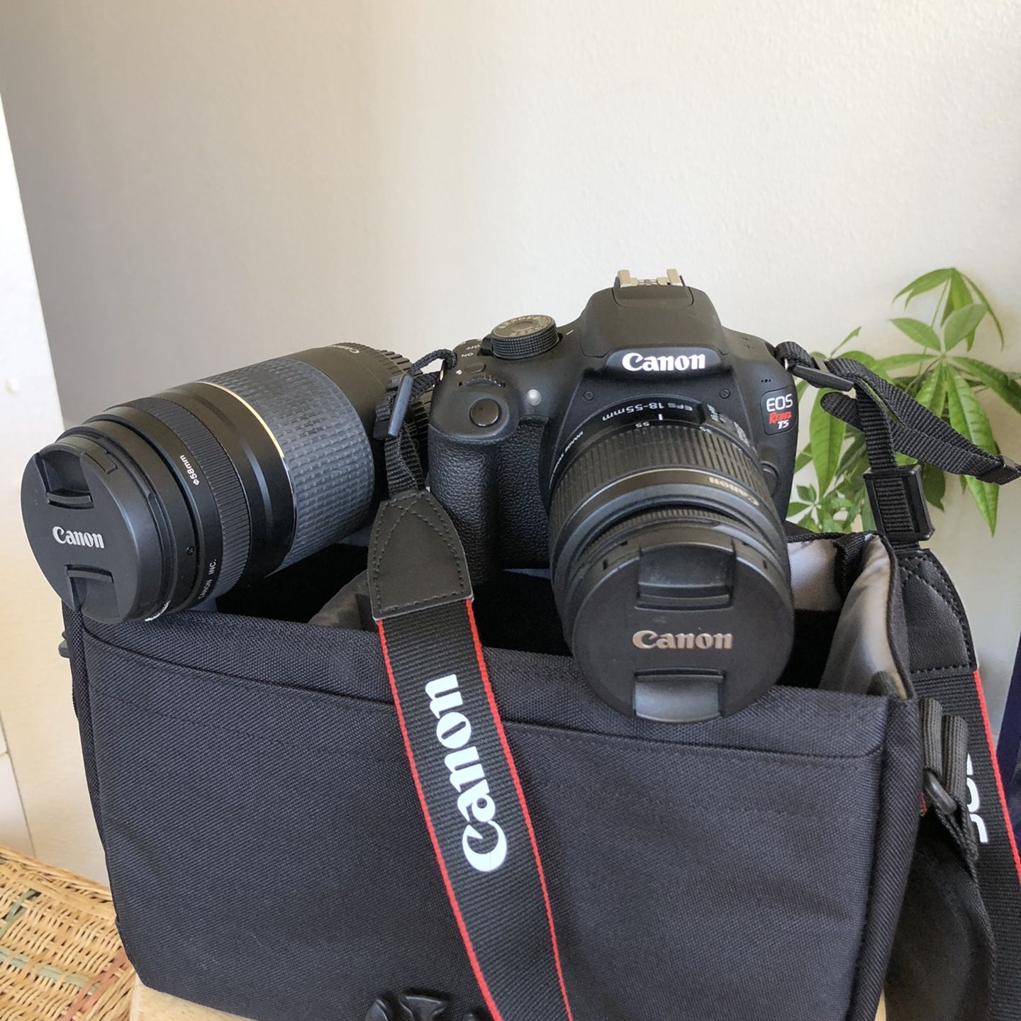 SCORE: Canon Rebel T5 Camera, Comes With Everything You’ll Need!
