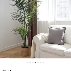 Palm Trees (Ikea artificial Plants)(3) And Plant Pots (3) 