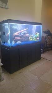 200 gallons
