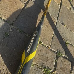 Baseball Bat
