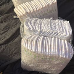 Size 2 Kirkland Diapers