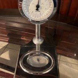 Salter Food Grade Scale 