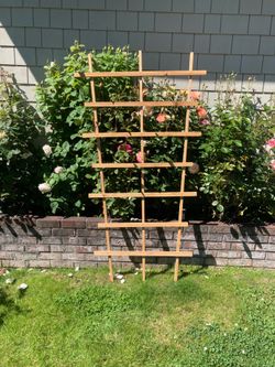 Flower/Garden Trellis